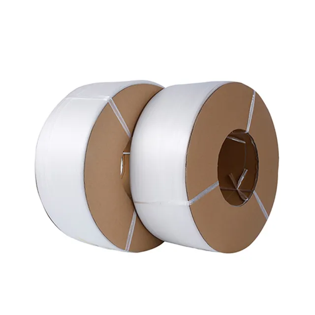 Customized Printed Polypropylene Strip Plastic Packing PP Strap