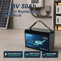 Batterie LiFePO4 TPENERGY 12V 50Ah, remplacement direct pour batteries au plomb, avec BMS 50A intégré pour systèmes solaires et UPS