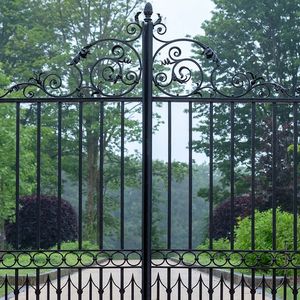 Prima Grill - Elegante Puerta Principal de Hierro Forjado con Reja Oscilante, Puerta Principal de Metal Negro Hecha a Medida - Product Image 2