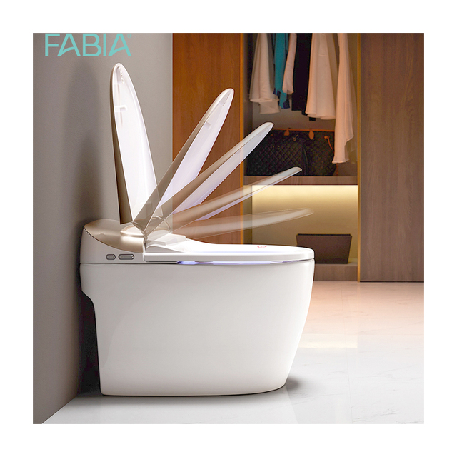High Standard Standing Automatic Intelligent Smart One Piece Bidet Toilet, Automatic Smart Toilet