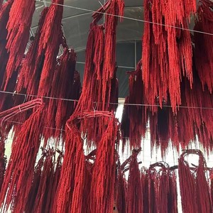 All'ingrosso Amaranthus Caudatus coda per il taglio dei semi <span class=keywords><strong>fiori</strong></span> ornamentali casa o diserbo decorazioni per feste. - Product Image 3