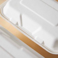 Assiettes en papier robustes résistantes à la flexion, en canne à sucre, compostables, taille moyenne, barquettes jetables pour tacos, viande, sandwichs, desserts