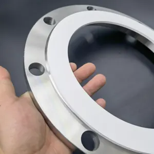 Professional Flexible And Pure Ptfe Gasket Manufacturer For Uneven And Damaged Flanges