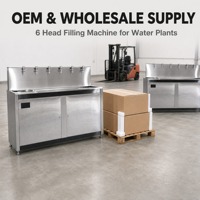 Machine de remplissage semi-automatique à 6 têtes en acier inoxydable pour bouteilles d'eau de 5 gallons, vente en gros OEM