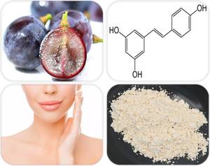 Polvo de resveratrol 500mg 1000mg 60/120 Cápsulas 98% 50% NAD Suplemento de cápsulas de resveratrol - Product Image 3
