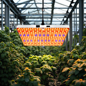 Đầy đủ phổ g hình chữ nhật lượng tử thực vật trắng đèn Led nguồn ánh sáng cho tối ưu nở ánh sáng mặt trời-truyền - Product Image 4