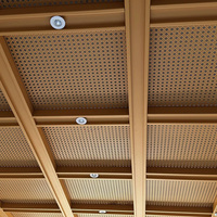Plafonds en aluminium avec éclairage LED intégré, imperméables, ignifuges, décoratifs, en métal, pour terminal d'aéroport