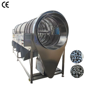 Automatic Berries Cleaning Machine Acai Berry Destemming and Washing Machine for Sale - Product Image 2