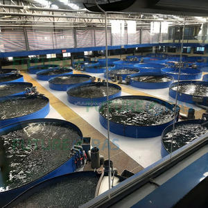 Tanque <span class=keywords><strong>de</strong></span> Agua Salada Inteligente <span class=keywords><strong>de</strong></span> FRP para Acuicultura, Equipo <span class=keywords><strong>de</strong></span> Cultivo <span class=keywords><strong>de</strong></span> <span class=keywords><strong>Peces</strong></span> Tilapia y Camarones en Interiores, Tanque <span class=keywords><strong>de</strong></span> PP Oceánico - Product Image 2