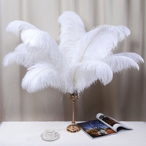 All'ingrosso tinto eco-friendly 22-24 <span class=keywords><strong>pollici</strong></span> bianco grandi piume di struzzo utilizzato per la decorazione di carnevale cappelli di abbigliamento festa di nozze - Product Image 3