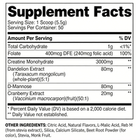 Richtek - Vente en gros de compléments alimentaires - Compléments nutritionnels sportifs - Créatine avec extrait de canneberge - Poudre de créatine
