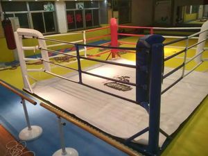 Cage octogonale professionnelle de haute qualité MMA pour les matchs de boxe Top Platform <span class=keywords><strong>UFC</strong></span> Events Equipé d'un revêtement de sol de haute qualité - Product Image 5