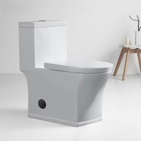 WC moderne à poser au sol avec siphon, cuvette allongée américaine, ensemble de toilettes deux pièces pour salle de bain
