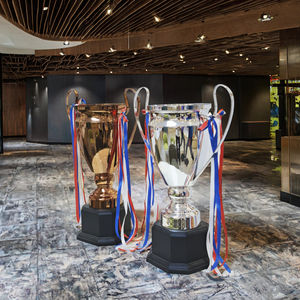 定制珐琅奖杯 - 适合马拉松/体操/团队比赛的个性化设计 - Product Image 6