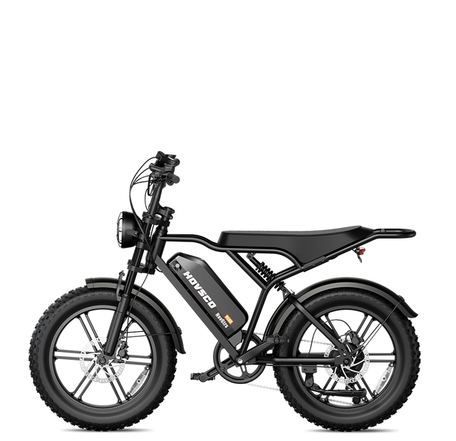 New Style 250W 500W 750W 1000W Fat Tire Ebike Electric Bike Electric Dirt Bike Bicicleta Eléctrica with Battery