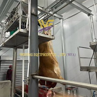 Ligne compacte d'abattage des vaches conteneur mobile abattoir pour ligne d'abattage des bovins équipement d'abattoir