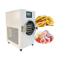 Séchoir industriel de congélation de fruits, grande capacité abordable 30kg 100kg par lot Machine de séchage de congélation de légumes