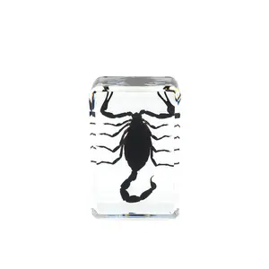 Hot selling scorpion specimen paper weight embedded real scorpion in resin animal ornaments resin crafts