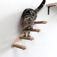 Chat Mur Étapes Meubles En Bois Chat Hamac Mur Monté Chat Plateau