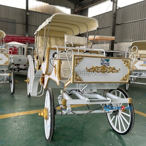 Calèche de tourisme blanche, fraîche et élégante, transport spécial, calèche de mariage, fabricant de calèches de tourisme à vendre - Product Image 2