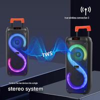 Haut-parleur extérieur portable sans fil, karaoké, enceinte de fête LED sans fil avec microphone, 2 enceintes intégrées de 80W