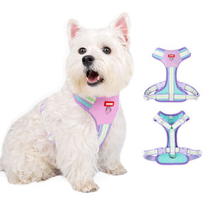 Set kekang H hewan peliharaan pelangi, warna-warni baru 2025, Harness anjing jaring bernapas PU dapat disesuaikan mudah On-off, tali kekang kualitas Premium - Product Image 6