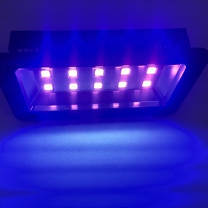 10W 20W <span class=keywords><strong>30W</strong></span> 50W 100W 150W 200W đến 500W UV ánh sáng màu đen Đèn sân khấu IP65 UV tím 395nm nhà sản xuất đèn lũ - Product Image 5