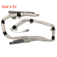 Módulo de Cortina Lateral Original OEM EWEA 5820700 800 para BYD Qin L EV Seal 6 EV, Piezas de Repuesto para Techo Interior