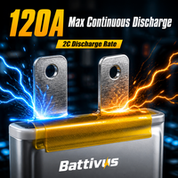 Batterie solide Battivus 3.87V 60Ah 516g ultra-légère 450Wh/kg pour drones de cartographie VTOL – Vente chaude sur le marché européen et russe