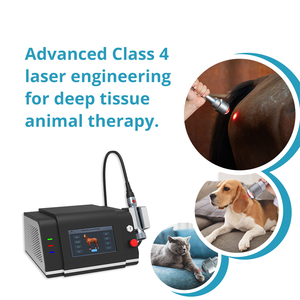 Perangkat Terapi Laser Kelas 4 Cerdas 980nm 810nm HLT untuk Pengobatan Nyeri pada Hewan, Cedera, dan Peradangan - Product Image 4