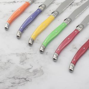 Moda manico multicolore francese <span class=keywords><strong>Laguiole</strong></span> decorare posate ape bistecca coltello <span class=keywords><strong>Laguiole</strong></span> Set di coltelli da bistecca colorati in acciaio inossidabile - Product Image 5