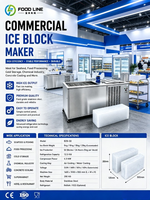 Usine professionnelle de fabrication de blocs de glace avec système de réfrigération à double vis pour les hubs de la chaîne du froid