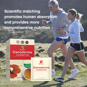 Bán buôn Lingzhi Detox tự nhiên hữu cơ thảo dược <span class=keywords><strong>lucidum</strong></span> trà túi Trà hữu cơ sức khỏe Trung Quốc <span class=keywords><strong>Ganoderma</strong></span> Reishi túi trà - Product Image 4