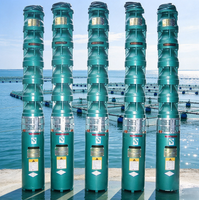 Pompes submersibles à haute pression avec moteurs en cuivre pour puits, résistantes à la corrosion, adaptées à l'aquaculture en eau salée