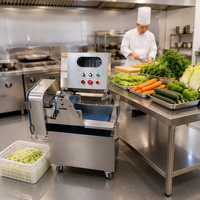 Elektrische groentesnijmachine Automatische groentesnijder Snijmachine voor het snijden van groenten voor voedselverwerking