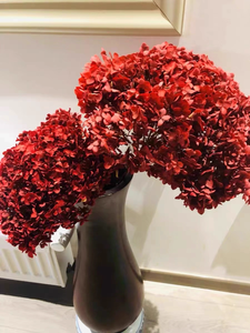Hortensias Preservadas <span class=keywords><strong>de</strong></span> 60 cm, Hortensias Eternas Anna para Decoración del Hogar, Restaurante, <span class=keywords><strong>Arreglos</strong></span> Florales para Bodas y Día <span class=keywords><strong>de</strong></span> San Valentín - Product Image 6