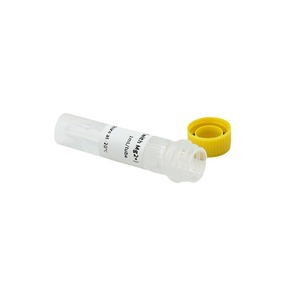 Hua Chenyang Pfu ADN Polimerasa 500U 1ml Enzima de Alta Fidelidad para Aplicaciones de PCR - Product Image 5