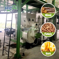 Equipamento de Fabricação de Grandes Pellets de Madeira, Equipamento Comercial para Produção de Pellets de Madeira