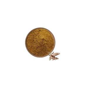 Alta Qualidade <span class=keywords><strong>Natural</strong></span> Wild Kudzu Root Extrato Em Pó Melhor Preço 80% 98% <span class=keywords><strong>Puerarin</strong></span> - Product Image 2