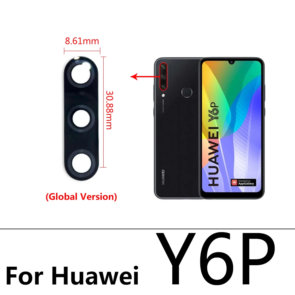 Y6P