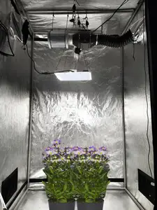 Factory Direct Supply Growtent 240x120x200 Grow Tent Complete Kit Hydroponic Tent Grow Kit Plant Tent