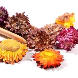 Colorful Chrysanthemum Dried Flower Tea Pure Dried Daisy Straw Flower Herbal Health Beverage In Bulk