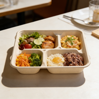 Barquettes à lunch jetables en bagasse de canne à sucre naturelle, 4 ou 5 compartiments, biodégradables et compostables, assiettes en papier