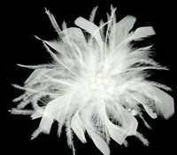 Pince à cheveux fleurie avec plumes pour femme, accessoire de coiffure pour mariée, mariage, cocktail, thé, derby, chapeau de costume