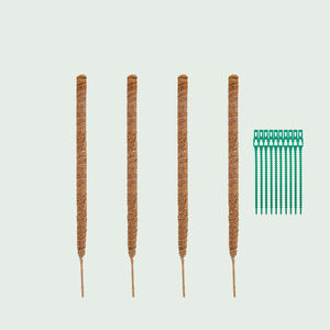 Bâton de mousse pour plantes d'intérieur, support pour plantes grimpantes, ensemble de poteaux de mousse pour plantes d'intérieur - Product Image 1