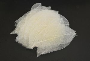 Daun padat pembuluh darah kering alami warna-warni untuk pembatas buku DIY bingkai lukisan buatan tangan dekorasi - Product Image 6