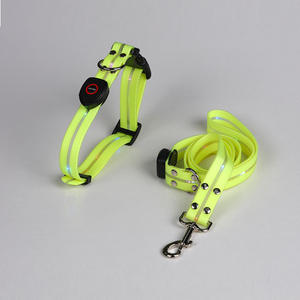 <span class=keywords><strong>Collar</strong></span> <span class=keywords><strong>LED</strong></span> Básico para Perro, Personalizable con Logotipo de Empresa, Opciones de Color y Luz USB para la Noche - Product Image 1