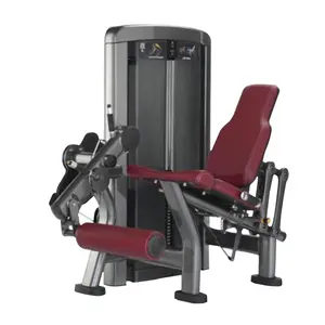 Fitness equipamentos pin carregado Quadriceps canelas ajustável sentado perna extensão