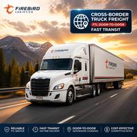 Expédition directe par camion Firebird à faible dommage DDP pour les envois en vrac vers l'UE et les États-Unis