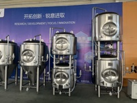 Nouvelle arrivée : réservoir à bière empilable personnalisé de 500 L pour microbrasserie et brasserie artisanale, réservoir de conditionnement de bière artisanale en acier inoxydable